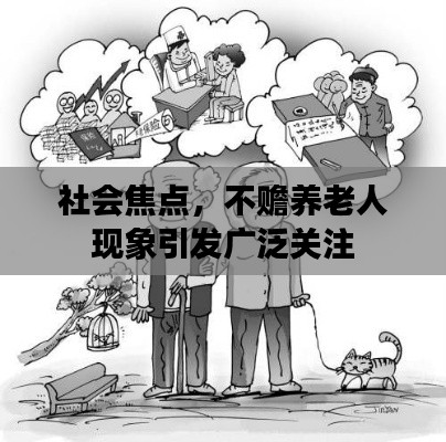 社会焦点，不赡养老人现象引发广泛关注
