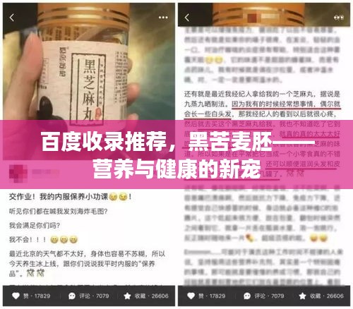 百度收录推荐，黑苦麦胚——营养与健康的新宠