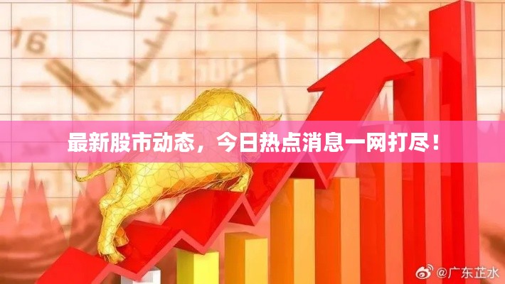 最新股市动态，今日热点消息一网打尽！