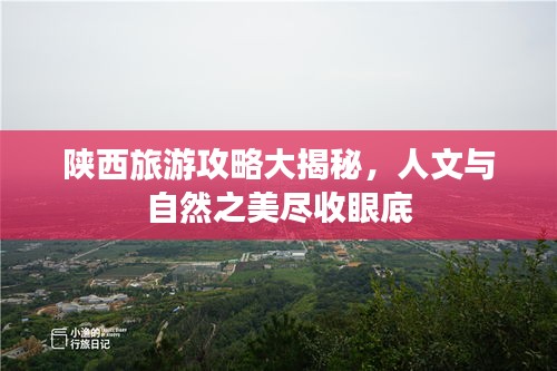 七贵三公