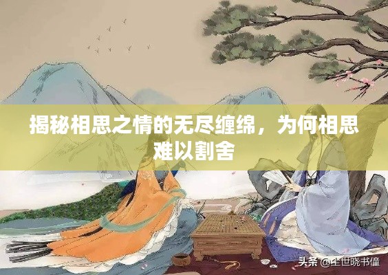 一次性餐包 第29页
