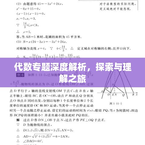 代数专题深度解析，探索与理解之旅