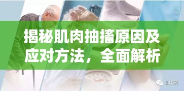 神采飞扬