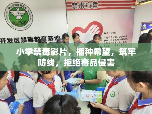小学禁毒影片，播种希望，筑牢防线，拒绝毒品侵害