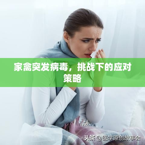 家禽突发病毒，挑战下的应对策略