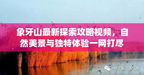 象牙山最新探索攻略视频，自然美景与独特体验一网打尽