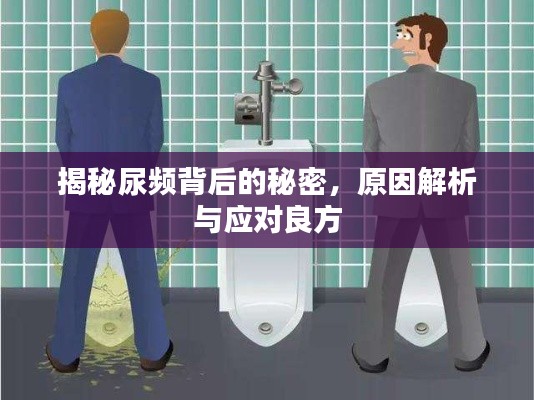 揭秘尿频背后的秘密，原因解析与应对良方