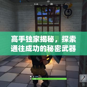 高手独家揭秘，探索通往成功的秘密武器