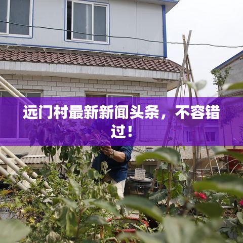远门村最新新闻头条，不容错过！