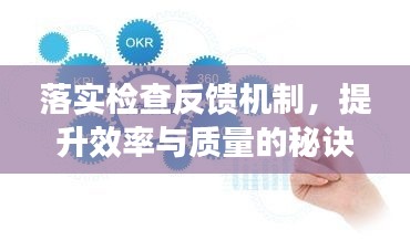 落实检查反馈机制，提升效率与质量的秘诀所在