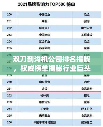 双刀剖沟机公司排名揭晓，权威榜单揭秘行业巨头！