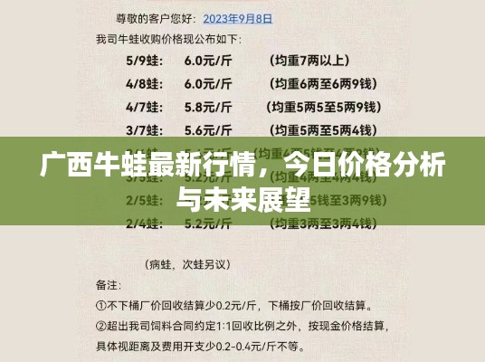 广西牛蛙最新行情，今日价格分析与未来展望