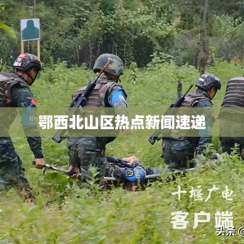 飞鸟依人