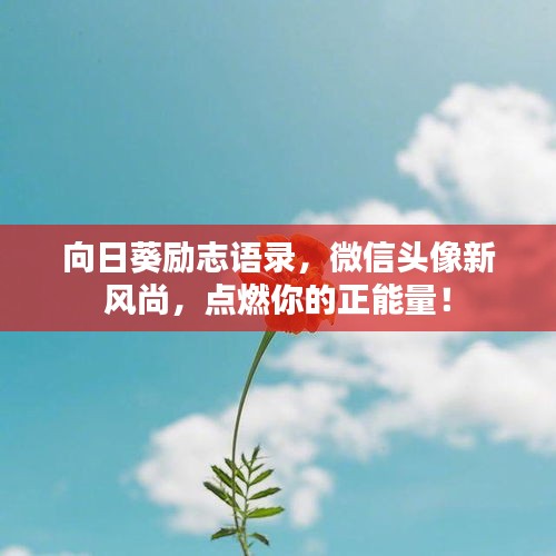 向日葵励志语录，微信头像新风尚，点燃你的正能量！