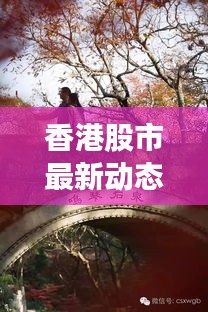 自由自在