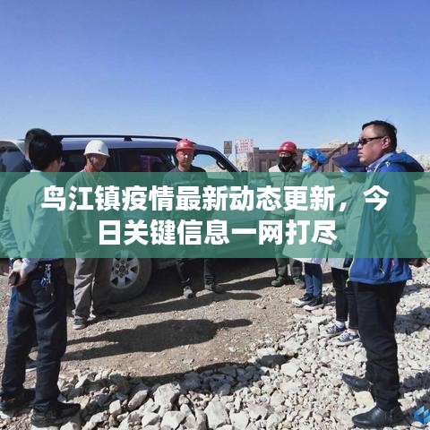 鸟江镇疫情最新动态更新，今日关键信息一网打尽