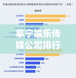 阜宁娱乐传媒公司排行榜及行业深度洞察揭秘