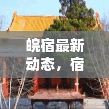 皖宿最新动态，宿州新闻头条聚焦，一网打尽当地热点资讯
