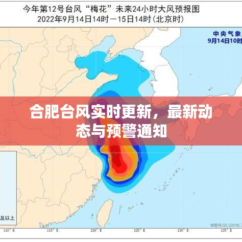 合肥台风实时更新，最新动态与预警通知