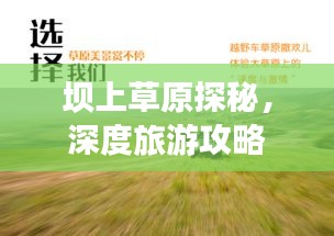 坝上草原探秘，深度旅游攻略