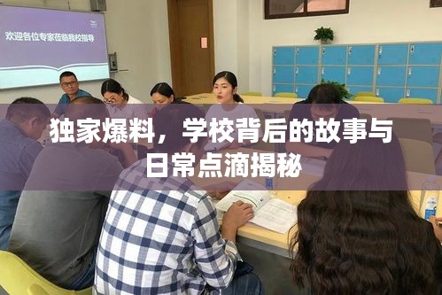 独家爆料，学校背后的故事与日常点滴揭秘