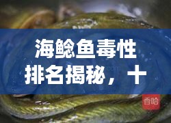 海鲶鱼毒性排名揭秘，十大最毒海鲶鱼榜单