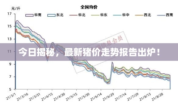 今日揭秘，最新猪价走势报告出炉！