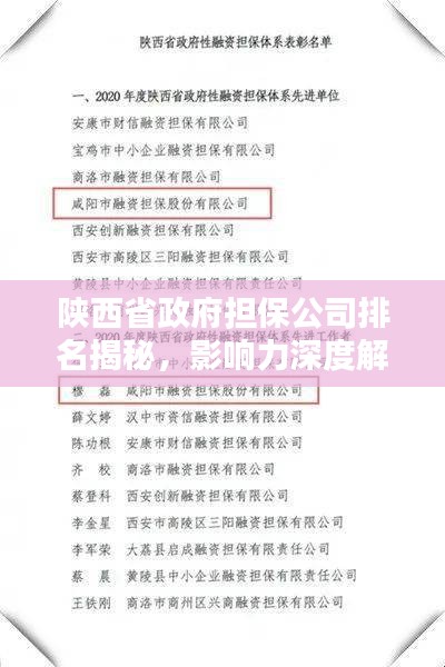 陕西省政府担保公司排名揭秘，影响力深度解析