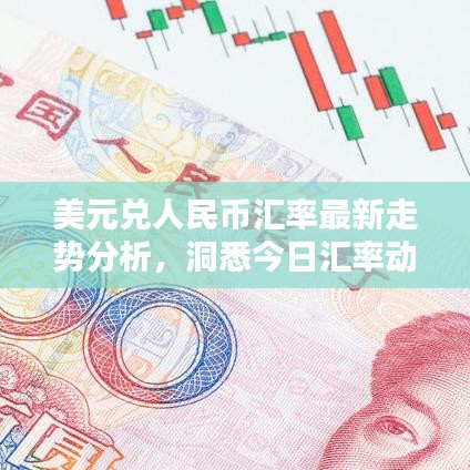 美元兑人民币汇率最新走势分析，洞悉今日汇率动态