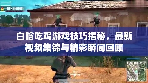白晗吃鸡游戏技巧揭秘，最新视频集锦与精彩瞬间回顾