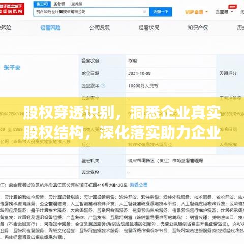 股权穿透识别，洞悉企业真实股权结构，深化落实助力企业发展