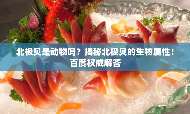 北极贝是动物吗？揭秘北极贝的生物属性！百度权威解答