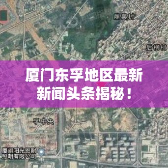 厦门东孚地区最新新闻头条揭秘！