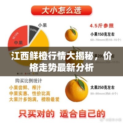江西鲜橙行情大揭秘，价格走势最新分析