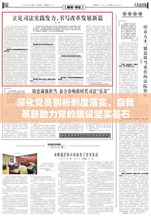 深化党员剖析制度落实，自我革新助力党的建设坚实基石