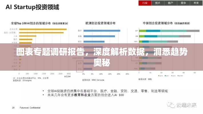 图表专题调研报告，深度解析数据，洞悉趋势奥秘