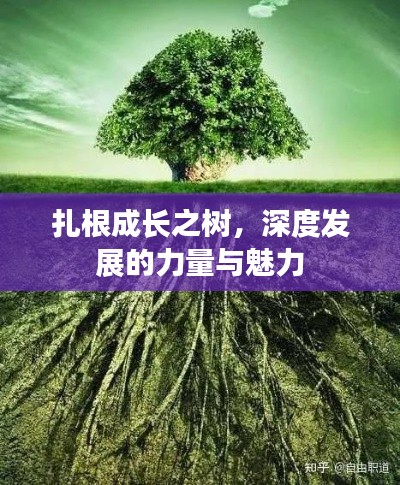 扎根成长之树，深度发展的力量与魅力