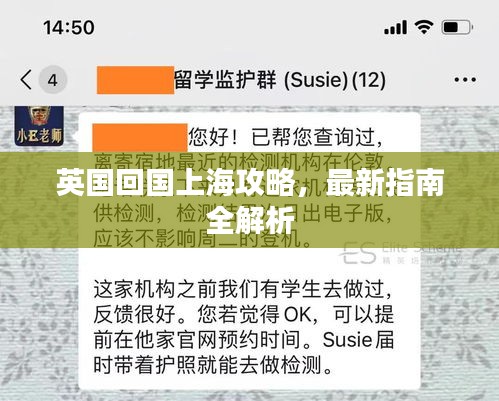 英国回国上海攻略，最新指南全解析