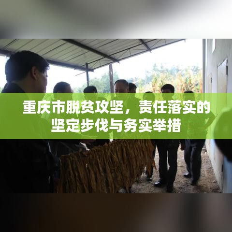 一次性餐包 第15页