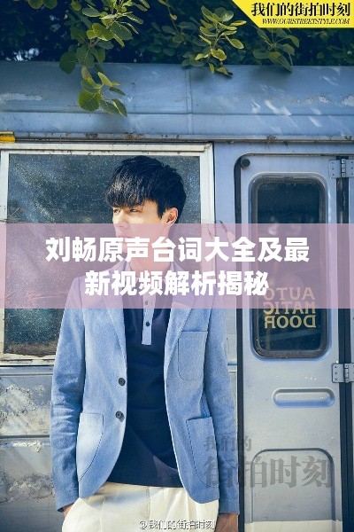 刘畅原声台词大全及最新视频解析揭秘