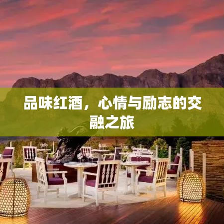 品味红酒，心情与励志的交融之旅