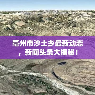 广告纸抽 第15页
