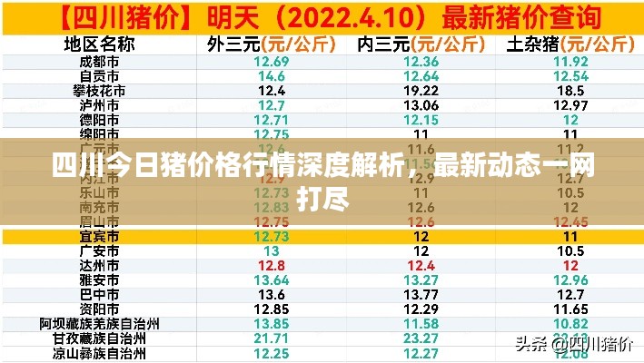 四川今日猪价格行情深度解析，最新动态一网打尽