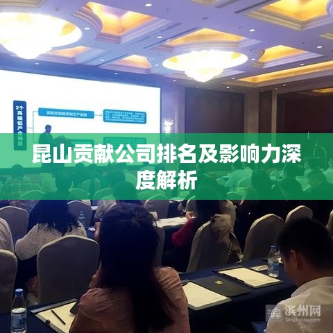 昆山贡献公司排名及影响力深度解析