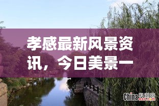 孝感最新风景资讯，今日美景一览