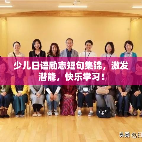 一次性餐包 第13页