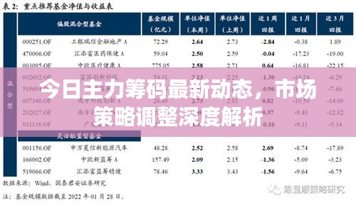 今日主力筹码最新动态，市场策略调整深度解析