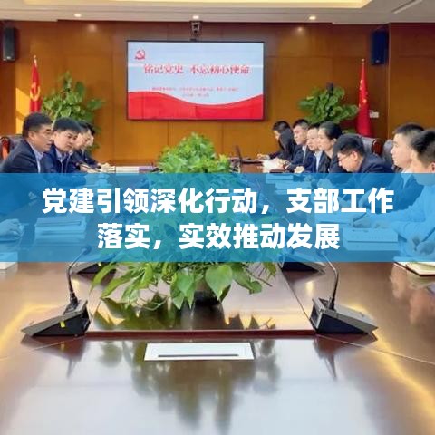 党建引领深化行动，支部工作落实，实效推动发展
