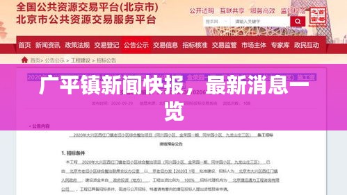 广平镇新闻快报，最新消息一览