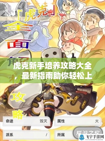 虎克新手培养攻略大全，最新指南助你轻松上手！